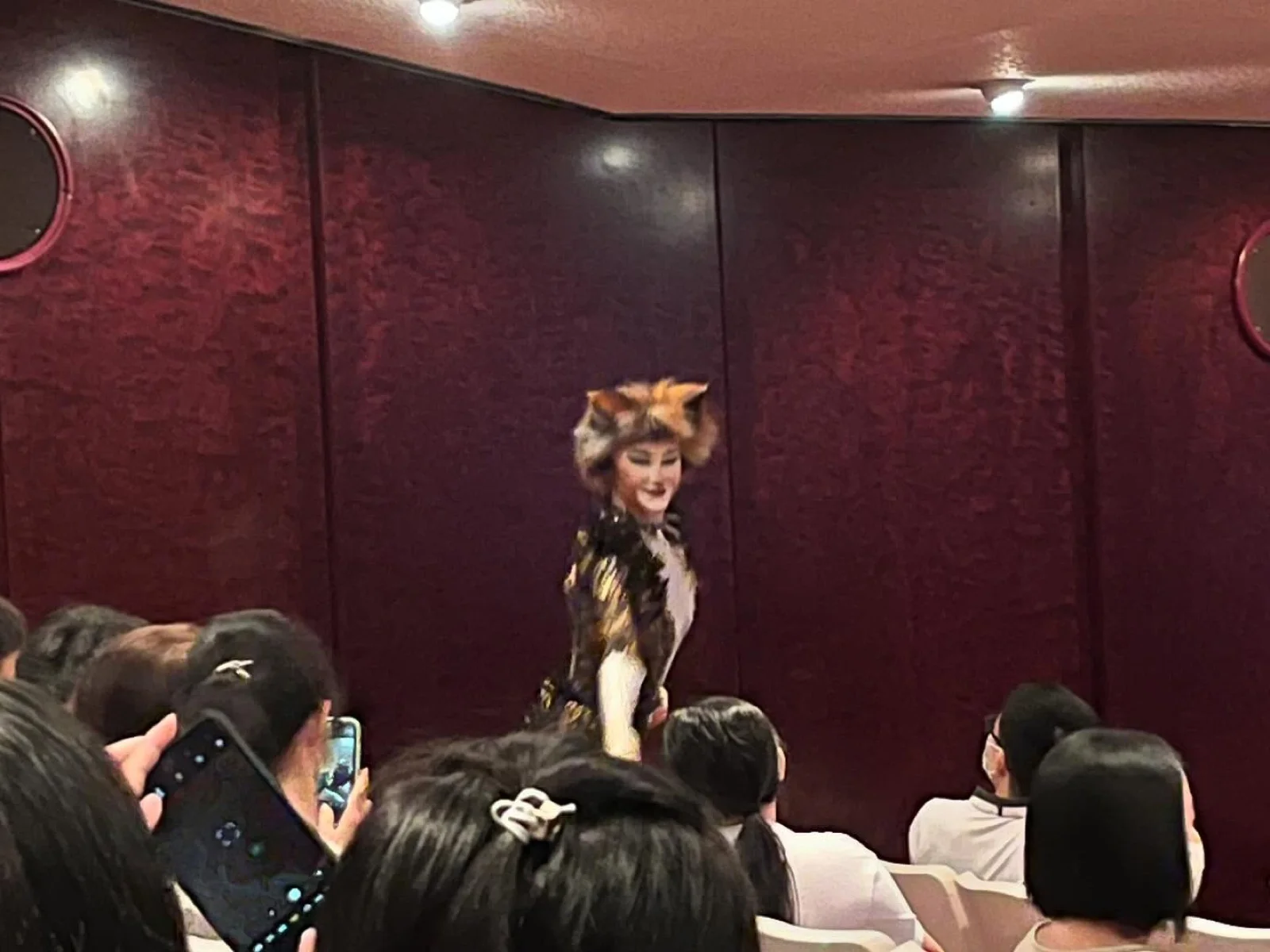 演出中，一位貓演員走到觀眾席旁邊和觀眾互動